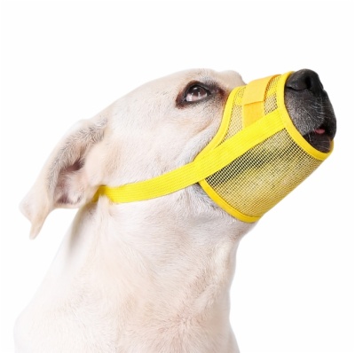 dog muzzle