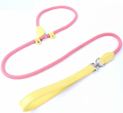 dog leash