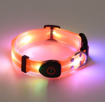 LED dog collar 2
