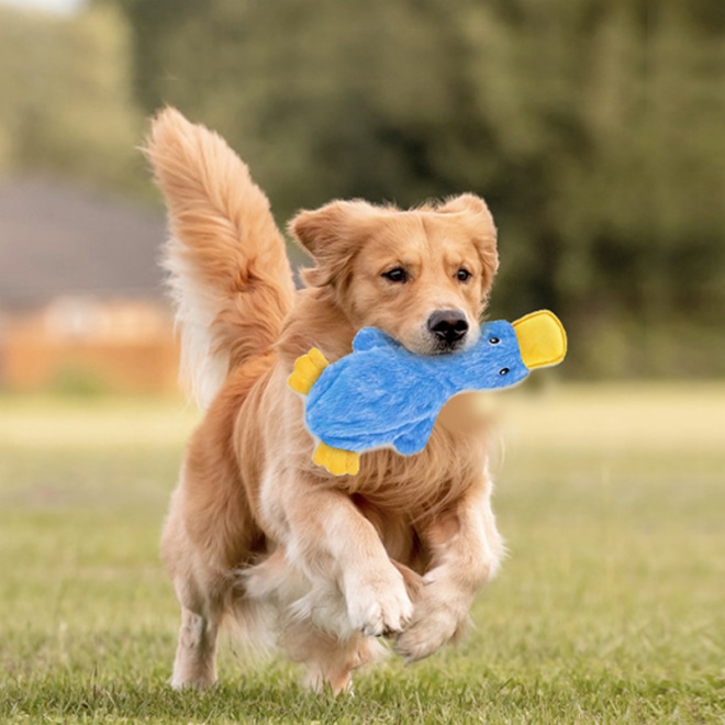 Squeaky Plush Duck