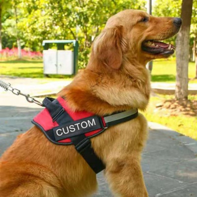 Dog Harness