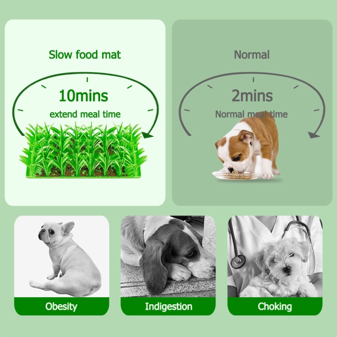 Pet Slow Feeding Mat