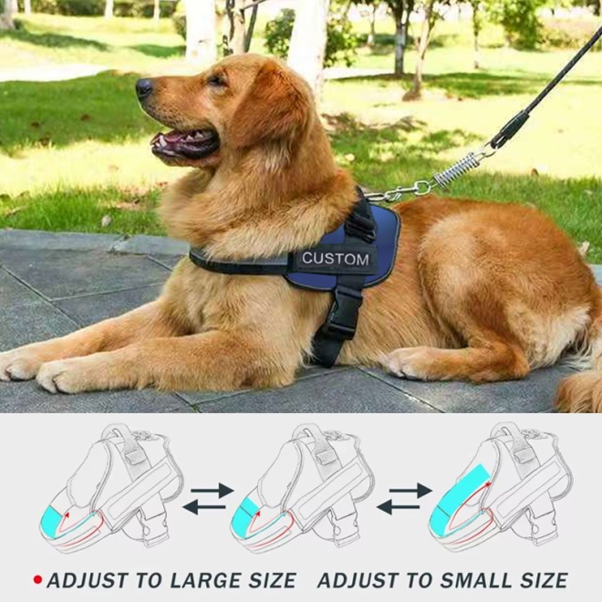 Dog Harness