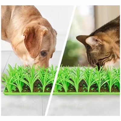 Pet Slow Feeding Mat