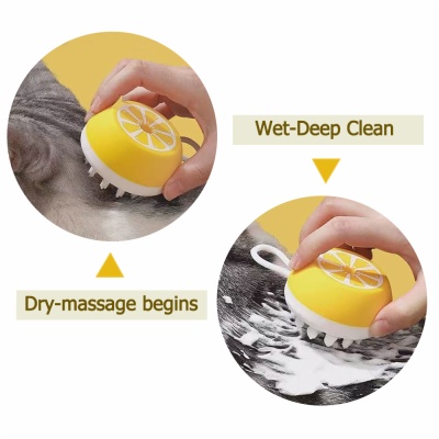Silicone pet brush